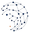 Sealink Infosys logo