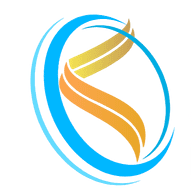 Slsn It Services logo