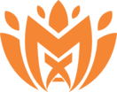 Solid Material logo
