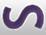Statistical Software Solutions logo