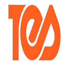 Tech Exponent System Pvt. Ltd. logo