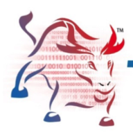 Techbulls logo