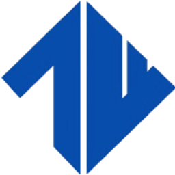 Technowin It Infra Pvt Ltd logo