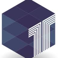 Texonic Instruments logo