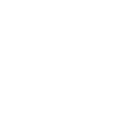 The Bodacious Bosses logo