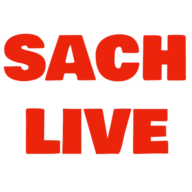 The News logo