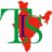 Travel India Solution logo
