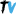 True Value Infosoft (P) Limited logo