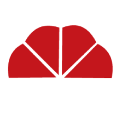 Umbrella Infocare logo