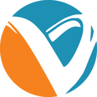 Valuesoft Info Services logo
