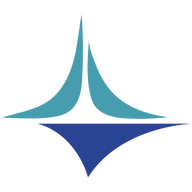 Velankani Information Systems Ltd logo
