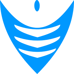 Veritas Infratech Private Limited - An Iso 9001-2015 Certified Company logo