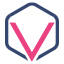 Visionet Solutions logo
