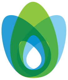 Visionindia Software Exports Pvt. Ltd. logo