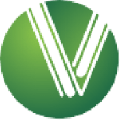 Vprompt Eservices Private Limited logo