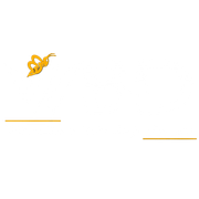 Webeedream Technologies Pvt Ltd logo