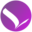 Wings Infonet Private Limited logo