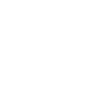 Wordpress Bhopal logo